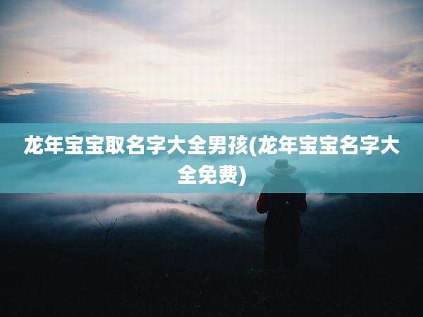 龙年宝宝取名字大全男孩(龙年宝宝名字大全免费)