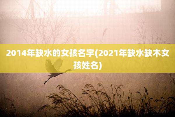 2014年缺水的女孩名字(2021年缺水缺木女孩姓名)