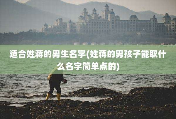 适合姓蒋的男生名字(姓蒋的男孩子能取什么名字简单点的)