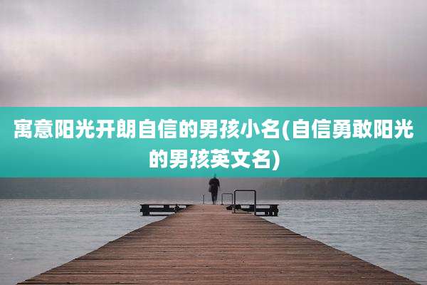 寓意阳光开朗自信的男孩小名(自信勇敢阳光的男孩英文名)