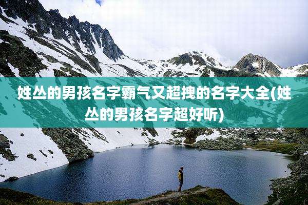 姓丛的男孩名字霸气又超拽的名字大全(姓丛的男孩名字超好听)