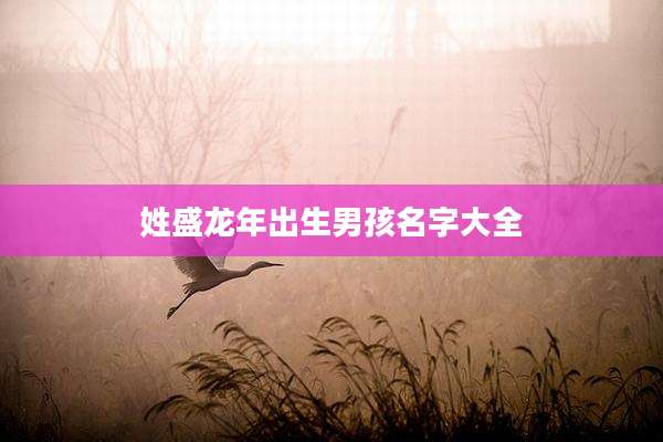 姓盛龙年出生男孩名字大全