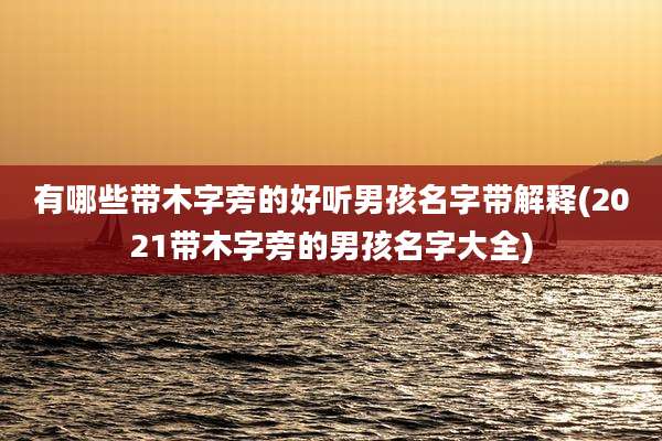 有哪些带木字旁的好听男孩名字带解释(2021带木字旁的男孩名字大全)