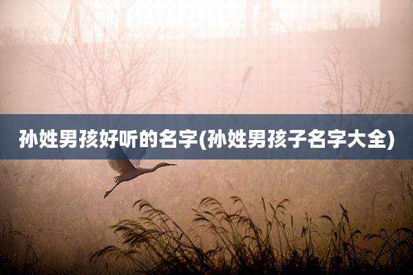 孙姓男孩好听的名字(孙姓男孩子名字大全)