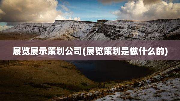 展览展示策划公司(展览策划是做什么的)