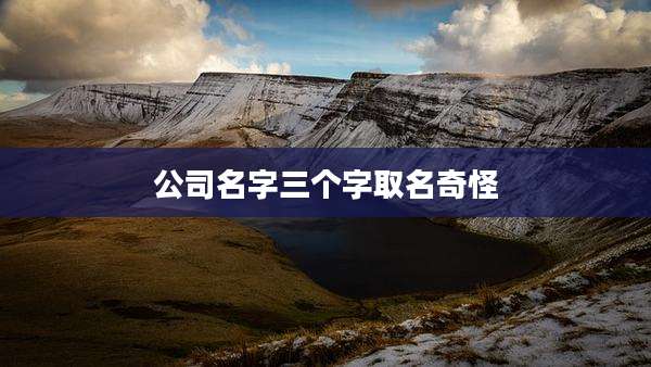 公司名字三个字取名奇怪