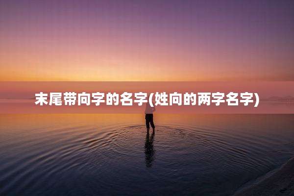 末尾带向字的名字(姓向的两字名字)