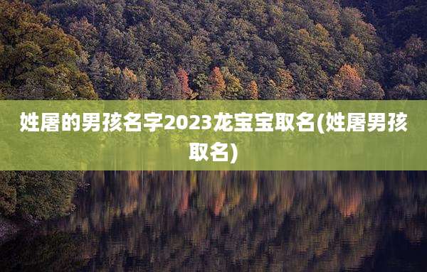姓屠的男孩名字2023龙宝宝取名(姓屠男孩取名)