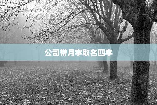 公司带月字取名四字