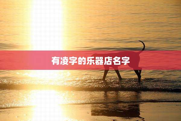 有凌字的乐器店名字