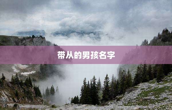 带从的男孩名字