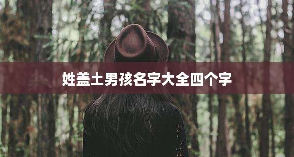 姓盖土男孩名字大全四个字