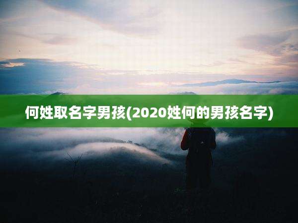 何姓取名字男孩(2020姓何的男孩名字)