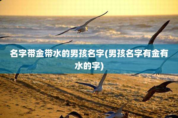 名字带金带水的男孩名字(男孩名字有金有水的字)