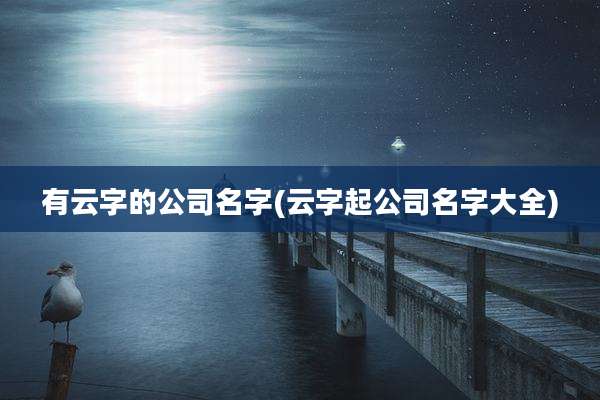 有云字的公司名字(云字起公司名字大全)