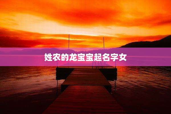 姓农的龙宝宝起名字女
