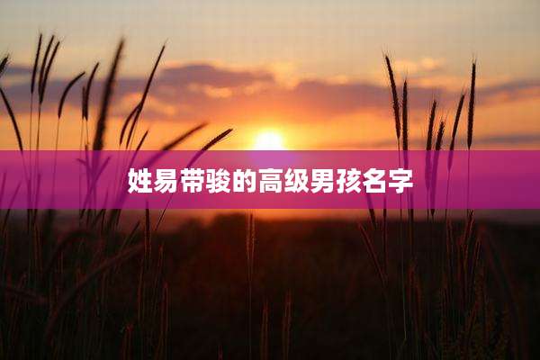 姓易带骏的高级男孩名字