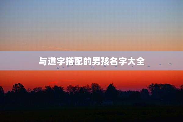 与道字搭配的男孩名字大全