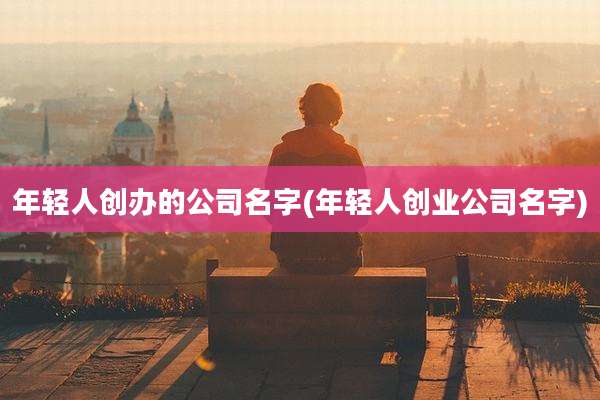 年轻人创办的公司名字(年轻人创业公司名字)