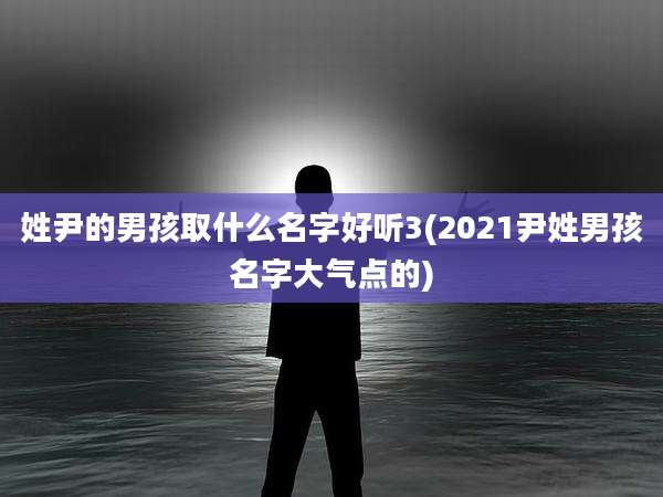 姓尹的男孩取什么名字好听3(2021尹姓男孩名字大气点的)