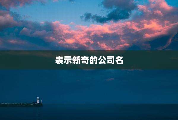 表示新奇的公司名