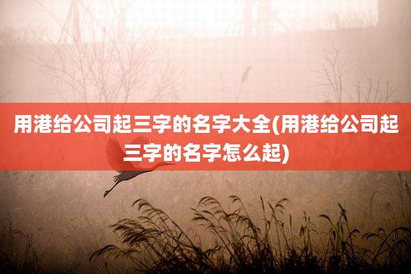 用港给公司起三字的名字大全(用港给公司起三字的名字怎么起)