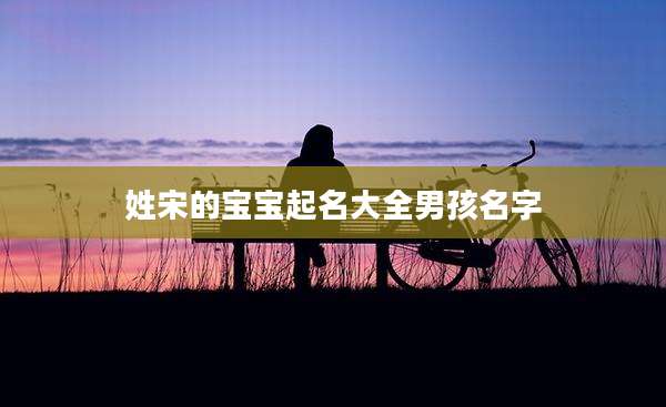 姓宋的宝宝起名大全男孩名字