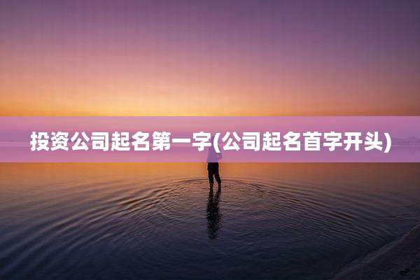 投资公司起名第一字(公司起名首字开头)
