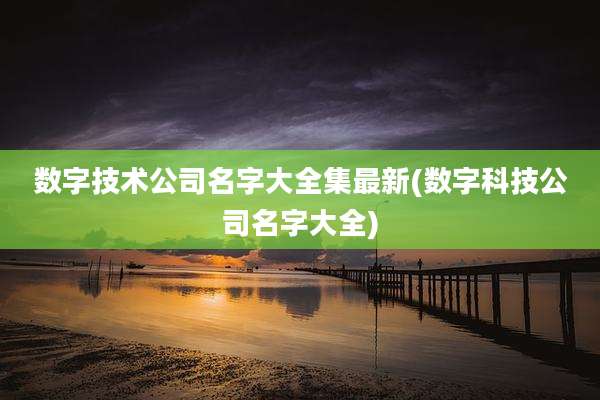 数字技术公司名字大全集最新(数字科技公司名字大全)