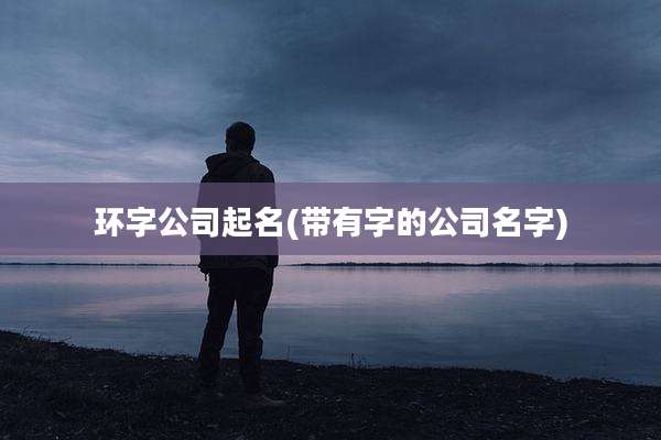 环字公司起名(带有字的公司名字)