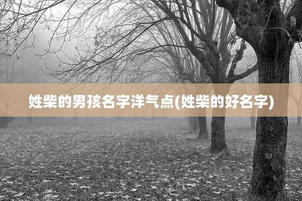 姓柴的男孩名字洋气点(姓柴的好名字)