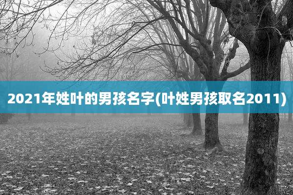 2021年姓叶的男孩名字(叶姓男孩取名2011)
