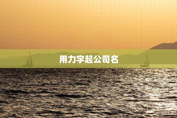用力字起公司名