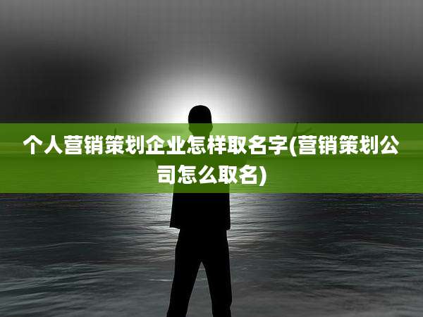 个人营销策划企业怎样取名字(营销策划公司怎么取名)