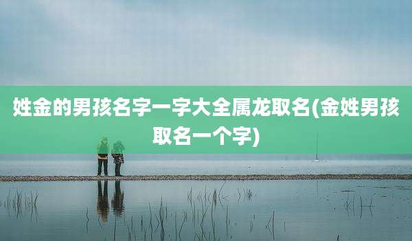 姓金的男孩名字一字大全属龙取名(金姓男孩取名一个字)