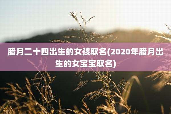 腊月二十四出生的女孩取名(2020年腊月出生的女宝宝取名)