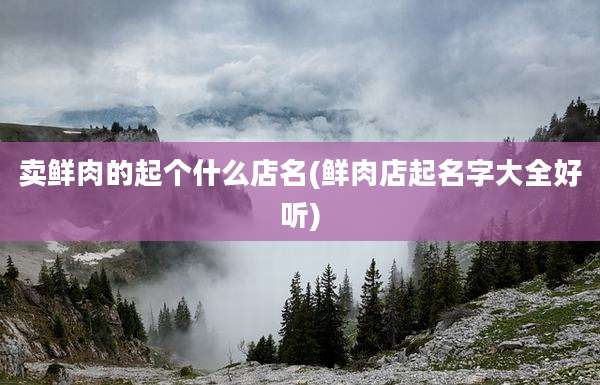 卖鲜肉的起个什么店名(鲜肉店起名字大全好听)