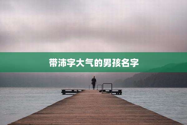 带沛字大气的男孩名字