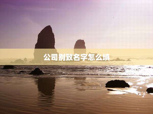 公司别致名字怎么填