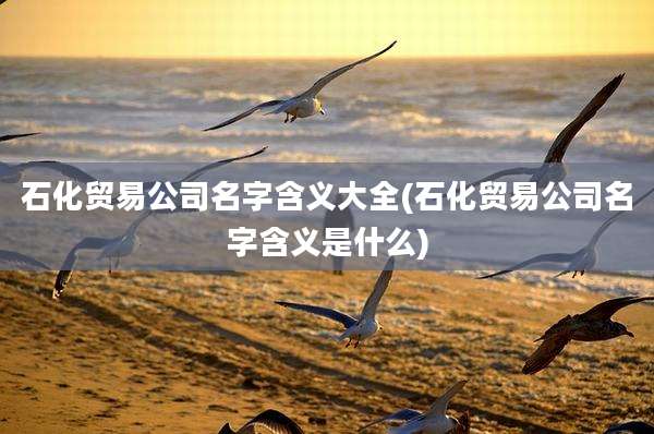 石化贸易公司名字含义大全(石化贸易公司名字含义是什么)