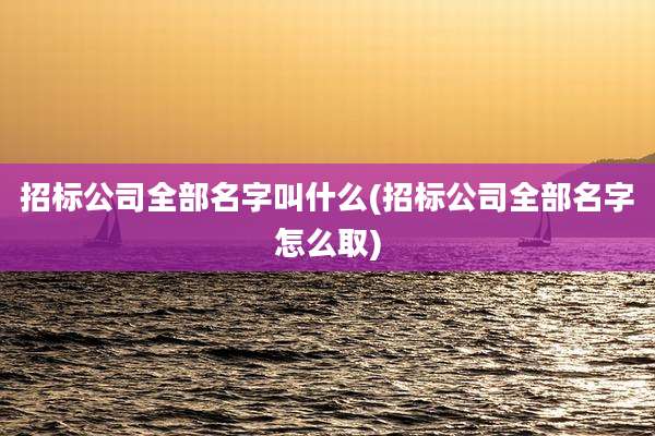招标公司全部名字叫什么(招标公司全部名字怎么取)