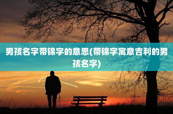 男孩名字带锦字的意思(带锦字寓意吉利的男孩名字)