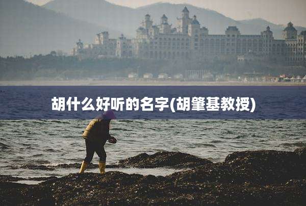 胡什么好听的名字(胡肇基教授)