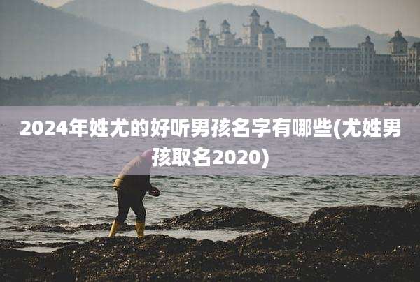 2024年姓尤的好听男孩名字有哪些(尤姓男孩取名2020)