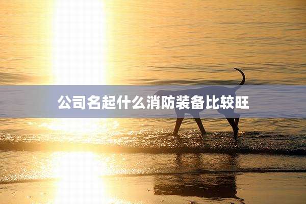 公司名起什么消防装备比较旺