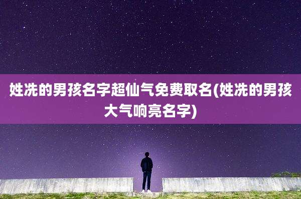 姓冼的男孩名字超仙气免费取名(姓冼的男孩大气响亮名字)