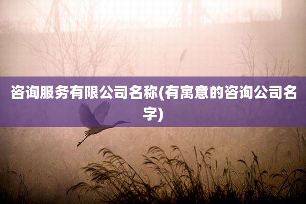 咨询服务有限公司名称(有寓意的咨询公司名字)