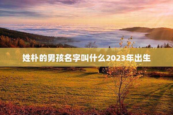 姓朴的男孩名字叫什么2023年出生