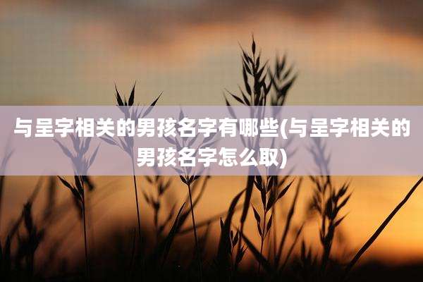 与呈字相关的男孩名字有哪些(与呈字相关的男孩名字怎么取)