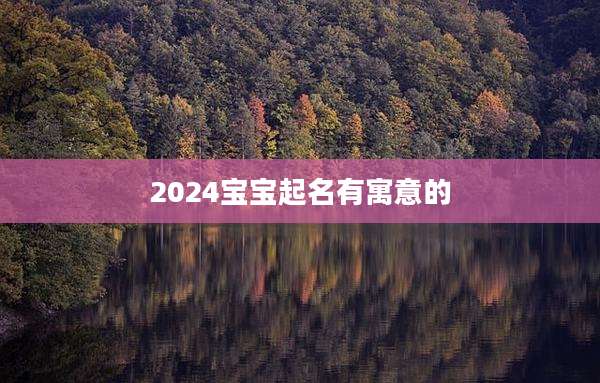 2024宝宝起名有寓意的